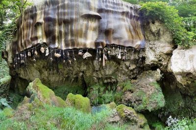 The Petrifying Well, Sumur yang Membuat Semua Benda Menjadi Batu