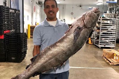 Mengenal King Seafood s Company, Pemasok Seafood Segar di Amerika