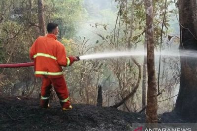 41 Titik Panas Terpantau di Sumut, Waspada Kebakaran Hutan