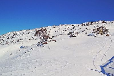 Mengejutkan! Setelah 50 Tahun, Salju Kembali Turun di Tasmania