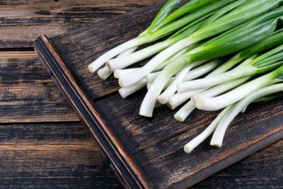 Cara Tepat Menyimpan Daun Bawang agar Tidak Cepat Busuk dan Menguning