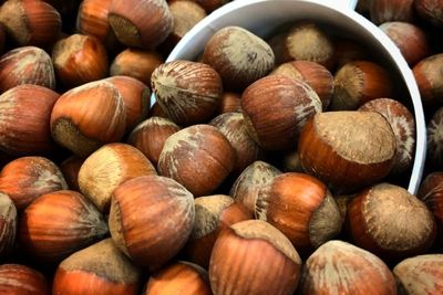 Sejumlah Fakta Hazelnut yang Perlu Kamu Tahu