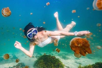 Berenang Bareng Ubur-ubur, Yuk Intip Pesona Indah Pulau Kakaban