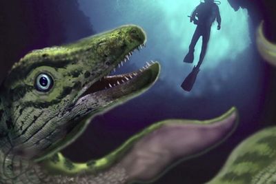 Kisah Monster Air Misterius Berwajah Sedih di Teluk Monterey