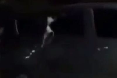 Dikira Sedang Wik-Wik di Dalam Mobil, Ternyata Pria Ini Bikin Kaget Warga