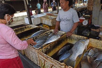 Indonesia Bisa Maksimalkan Pasar Ikan dalam Negeri, Bagaimana Caranya?