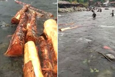 Kayu Gelondongan Mengapung di Sungai Bukit Lawang, Warganet Ingatkan Banjir Bandang