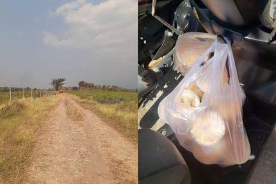 Antar Thai Tea ke Lokasi Misterius, Driver Ojol Ini Kaget & Bingung saat Sampai di Lokasi