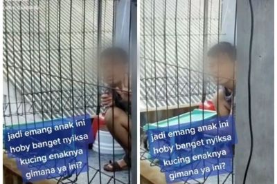 Video ABK Siksa Kucing Malah Direkam, Bukannya Dinasihati