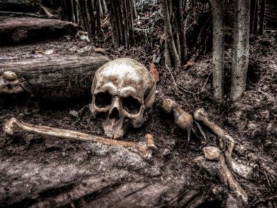 Terungkap! Identitas Kerangka Manusia di Tambun Selatan Ternyata Pria 90 Tahun