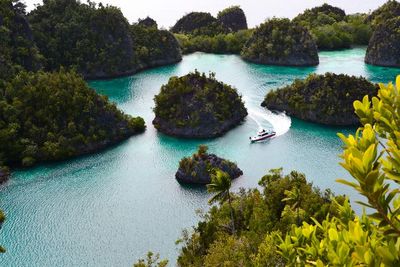 5 Tempat Wisata Indonesia yang Mendunia dan Sudah Diakui UNESCO, Apa Saja?