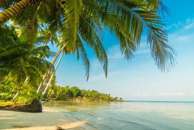 Heboh, Pulau Pendek di Buton Dijual Murah Secara Online