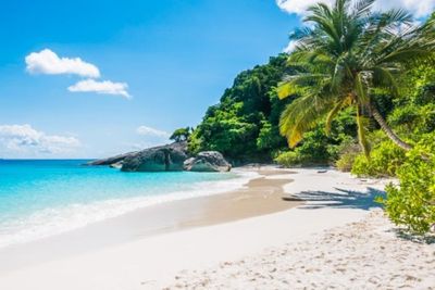 Kasus Penjualan Pulau Pendek, Polres Buton Kantongi Akun Penjual