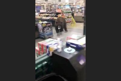 Seekor Beruang Terciduk Masuk Supermarket di California