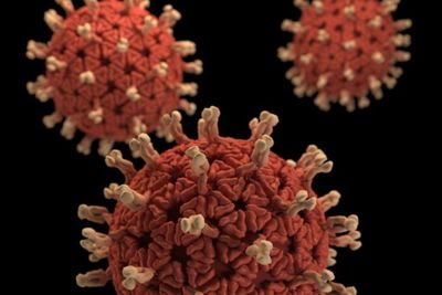 Mutasi Virus Corona yang 10 Kali Lebih Menular Ditemukan di Jakarta hingga Yogyakarta
