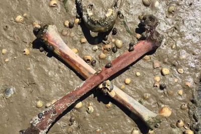 Pulau Penuh Kerangka Deadman , Kuburan Bagi Narapidana 200 Tahun Lalu