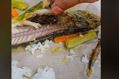 Heboh Ikan Goreng Penuh Belatung di Dalam Nasi Bungkus, Sudah Dimakan Separuh Baru Sadar