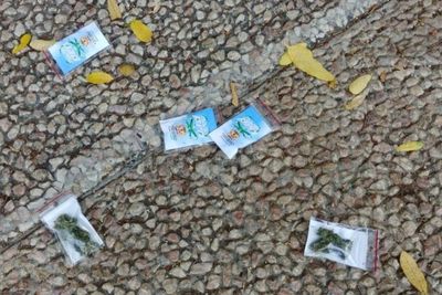 Heboh Paket Berisi Ganja Berjatuhan dari Langit Tel Aviv