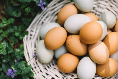6 Alasan Mengapa Telur Bebek Lebih Baik dari Telur Ayam