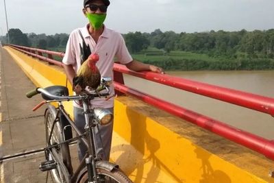 Unik! Ayam Kate Ini Doyan Musik dan Naik Sepeda Ontel