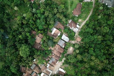 Kemendagri Dorong Pemda Lakukan Inovasi dalam Tata Kelola Daerah
