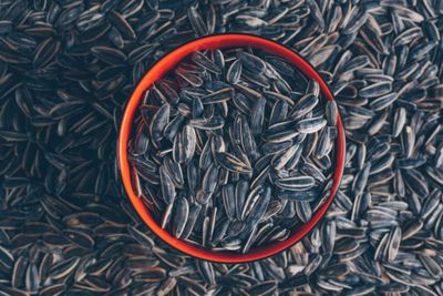 Makan Kuaci Bisa Turunkan Berat Badan, Benarkah?