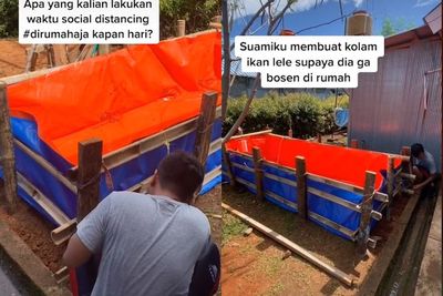 Inspiratif! Suami Wanita ini Ternak Lele Saat Sosial Distancing, Hasilnya Luar Biasa
