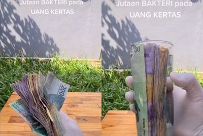 Menjijikkan, Ternyata Uang Kertas Banyak Bakterinya Loh, Begini Penampakannya!