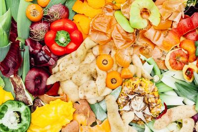 Tips Mengurangi Limbah atau Sampah Sisa Makanan yang Ada di Rumah