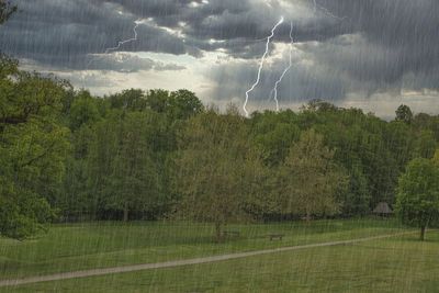 Apa Itu Angin Monsun Asia? Fenomena yang Picu Hujan Lebat dan Cuaca Ekstrem