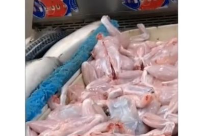 Viral Daging Kodok Gerak-gerak Sendiri di Supermarket, Padahal Sudah Dipotong dan Dikuliti