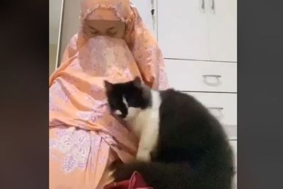 Pura-pura Nangis di Depan Kucing Peliharaan, Reaksi si Kucing Bikin Meleleh