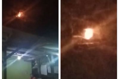 Heboh Bola Api Menari-nari di Atas Pohon, Apakah Ibu Banaspati?