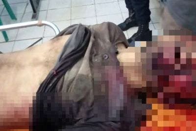 Komplotan Pencuri Monitor Ekskavator di Taput Diamuk Warga di Toba, 1 Tewas, 2 Sekarat