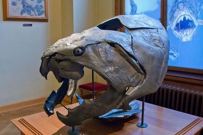 Mengenal Dunkleosteus, Predator Prasejarah yang Ganas