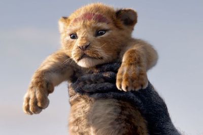 Barry Jenkins akan Jadi Sutradara Sekuel The Lion King