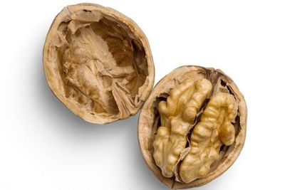 Kacang Kenari, Kacang Berbentuk Otak yang Padat Nutrisi