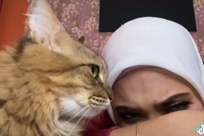 Cewek Nangis di Depan Kucing Peliharaannya, Reaksi Kucingnya Bikin Meleleh