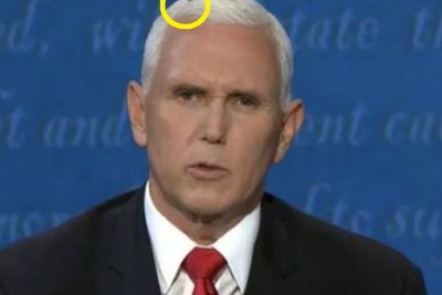 Seekor Lalat Ganggu Debat Cawapres AS, Hinggap di Kepala Mike Pence
