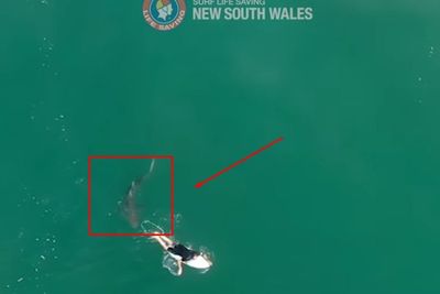 VIDEO: Drone Ini Berhasil Mencegah Peselancar Profesional TOP 5 Dunia Dari Serangan Hiu