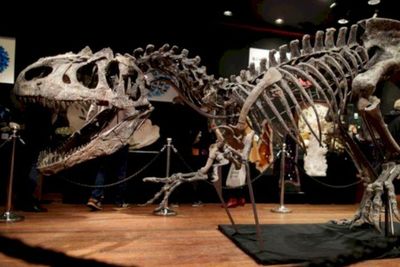 Apakah Bahan Bakar Minyak Berasal dari Dinosaurus? Ini Faktanya!