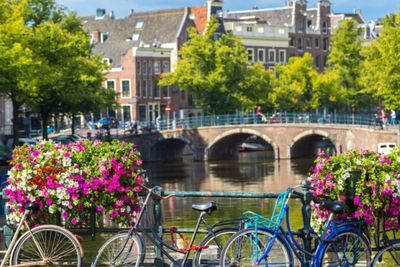 Amsterdam Pakai Bunga Guna Cegah Warga Parkir Sepeda di Pagar Jembatan