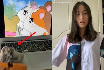 Lain Dari Yang Lain, Wanita Cantik Ini Nonton Film Hamster Bersama Hamster