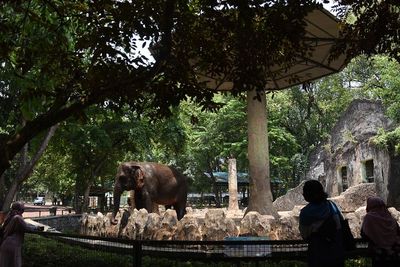 Libur Panjang Maulid Nabi, Pengunjung TMII dan Ragunan Naik 2 Kali Lipat