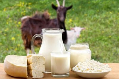 Manfaat Susu Kambing yang Lebih Baik dari Susu Sapi