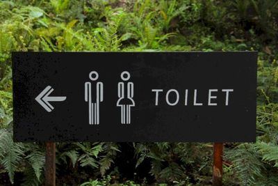 Benarkah Toilet Jongkok Lebih Sehat dari Toilet Duduk?