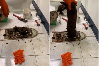 Kloset ini Tersumbat Gegara Dipenuhi Oleh Rambut, Bikin Netizen Jijik