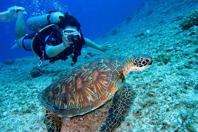 Pulihkan Industri, Kemenparekraf Rilis Panduan Wisata Selam di Tengah Pandemi