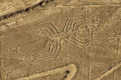 Geoglyph Garis Nazca, Desain Raksasa Misterius di Dataran Peru