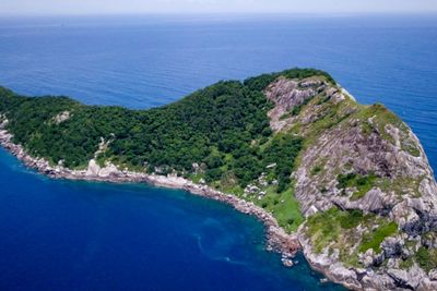 Tak Boleh Dimasuki oleh Wisatawan, Ini Fakta Pulau Doma di Brazil